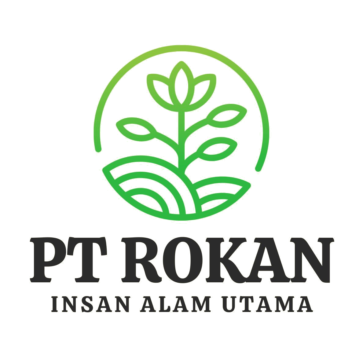 PT.ROKAN